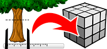 Standing tree volume Tree size Diameter / Height → Volume