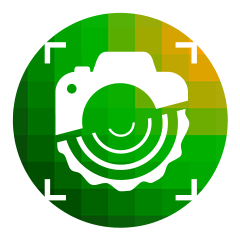 Mobile application